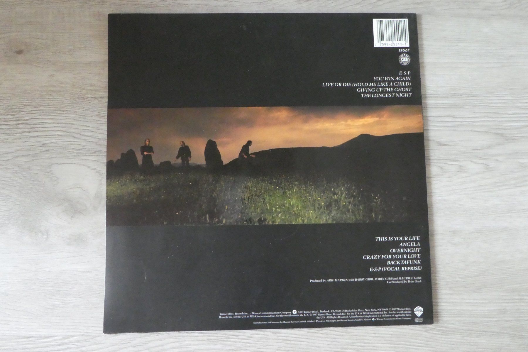 Dischi in vinile: Bee Gees LP, E-S-P – Usato da Andelfingen venduto da Annegret06 1