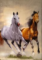 Pferde Kuscheldecke, neuwertig, 160 x 200 cm