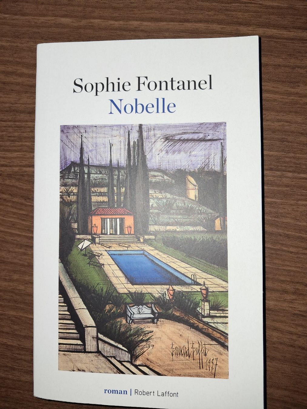 Libri: Nobelle de sophie fontanel – Usato da Le locle venduto da juliensaran