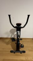 Heimtrainer 