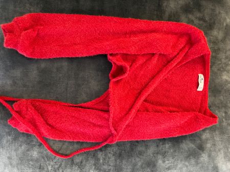 Hollister Pullover rot Grösse S