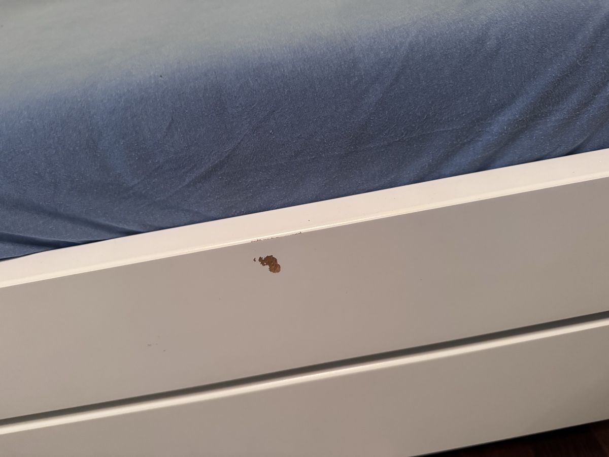 Flexa Letti: Flexa Kinderbett inkl. Bettschublade  – Usato da Fehraltorf venduto da Polo80 3