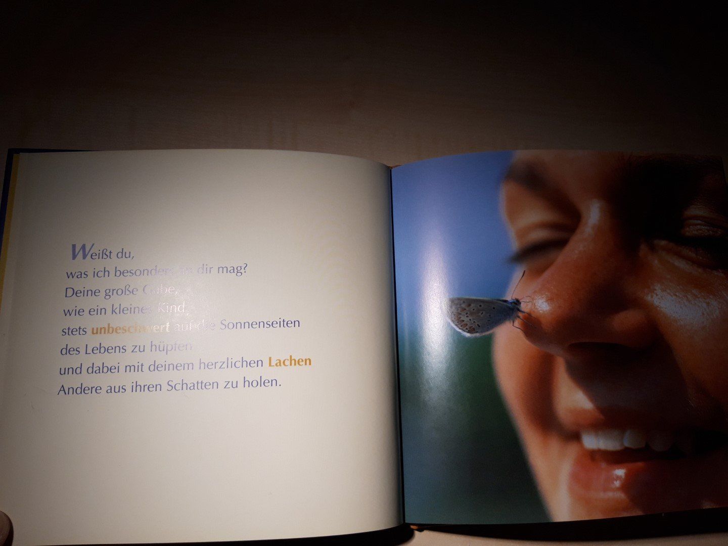 Libri: Ich schenk dir tausend Sonnenstrahlen – Usato da Egliswil venduto da Cracky81 4