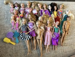 Diverse Barbies & Pferde