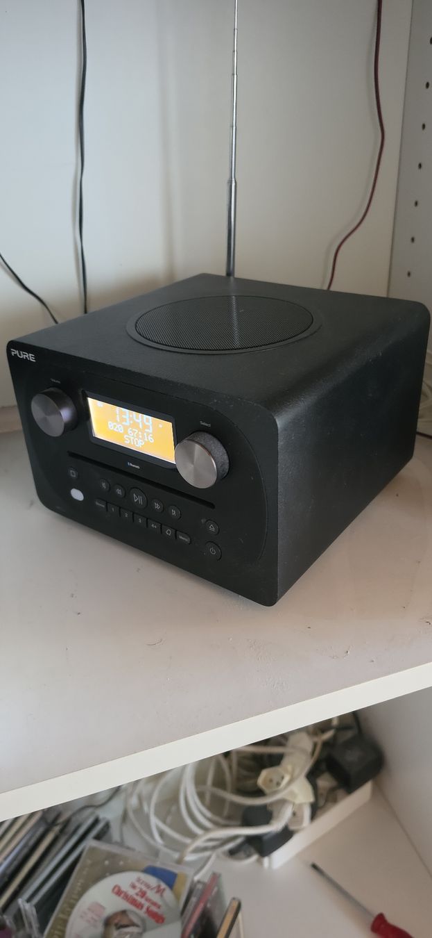 Radio: Pure Evoke – Usato da Bern venduto da Smarts_vauva 1