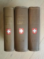 Der Advokat im Hause selten antik Juristen Schweizer Recht