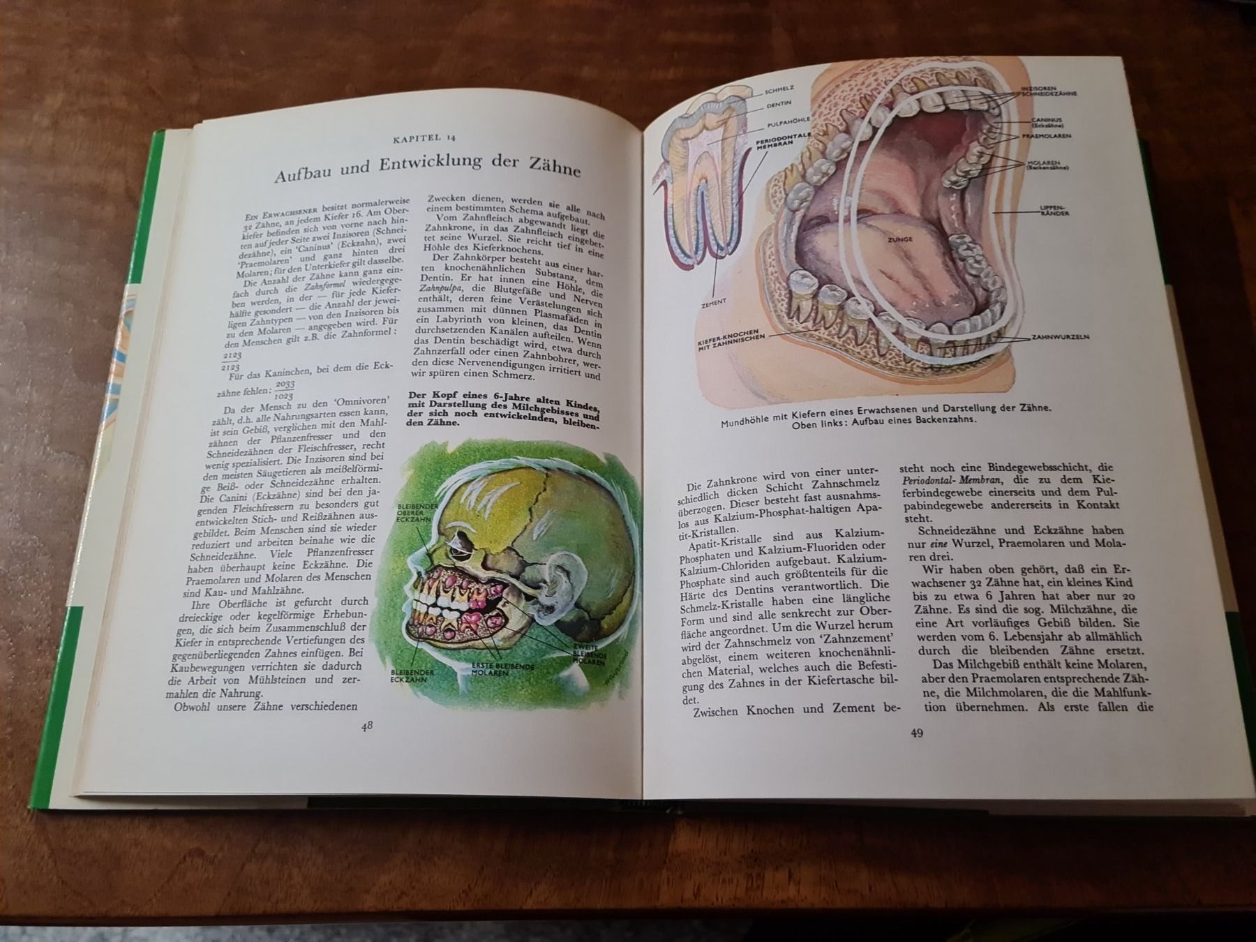 Libri: Der menschliche Körper – Usato da Erstfeld venduto da Mario_boe0 1