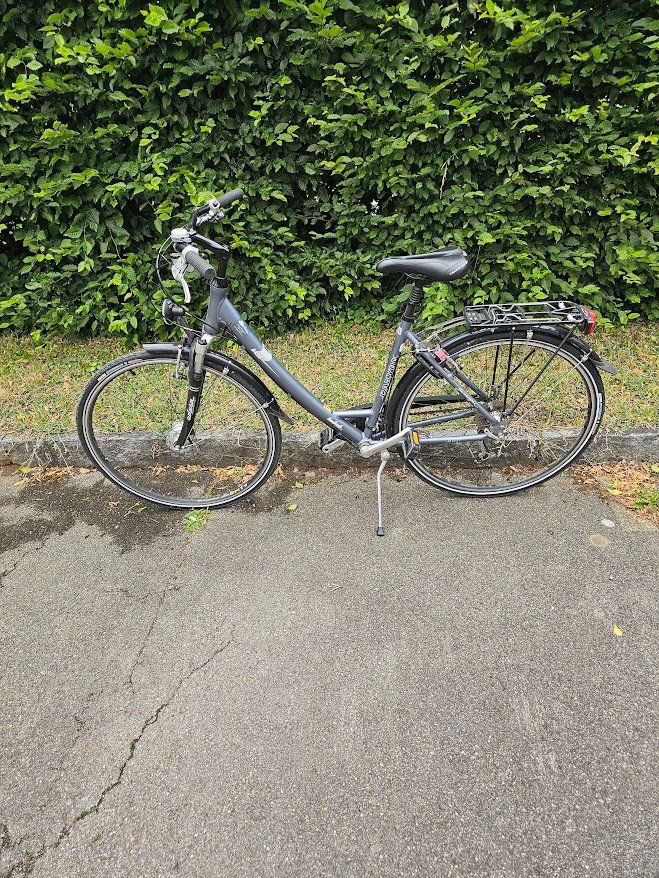 Canyon Biciclette: Zu Verkaufen – Usato da Embrach venduto da dol-polaris