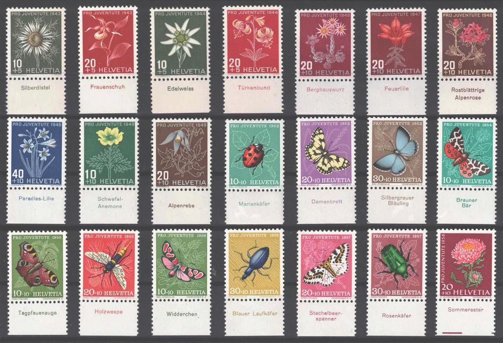 PJ mit Tabs deutsch ** Kaufen auf Ricardo