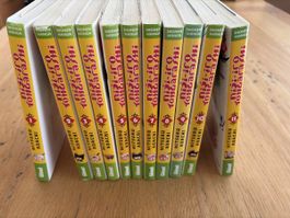 Manga complet Nijo-iro tohgarashi 11 tomes