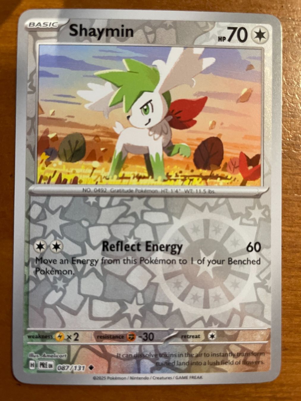 Pokémon Carte collezionabili: Pokemon Shaymin Reverse (Versand gratis) – Nuovo (secondo la descrizione) da Chur venduto da Angerson
