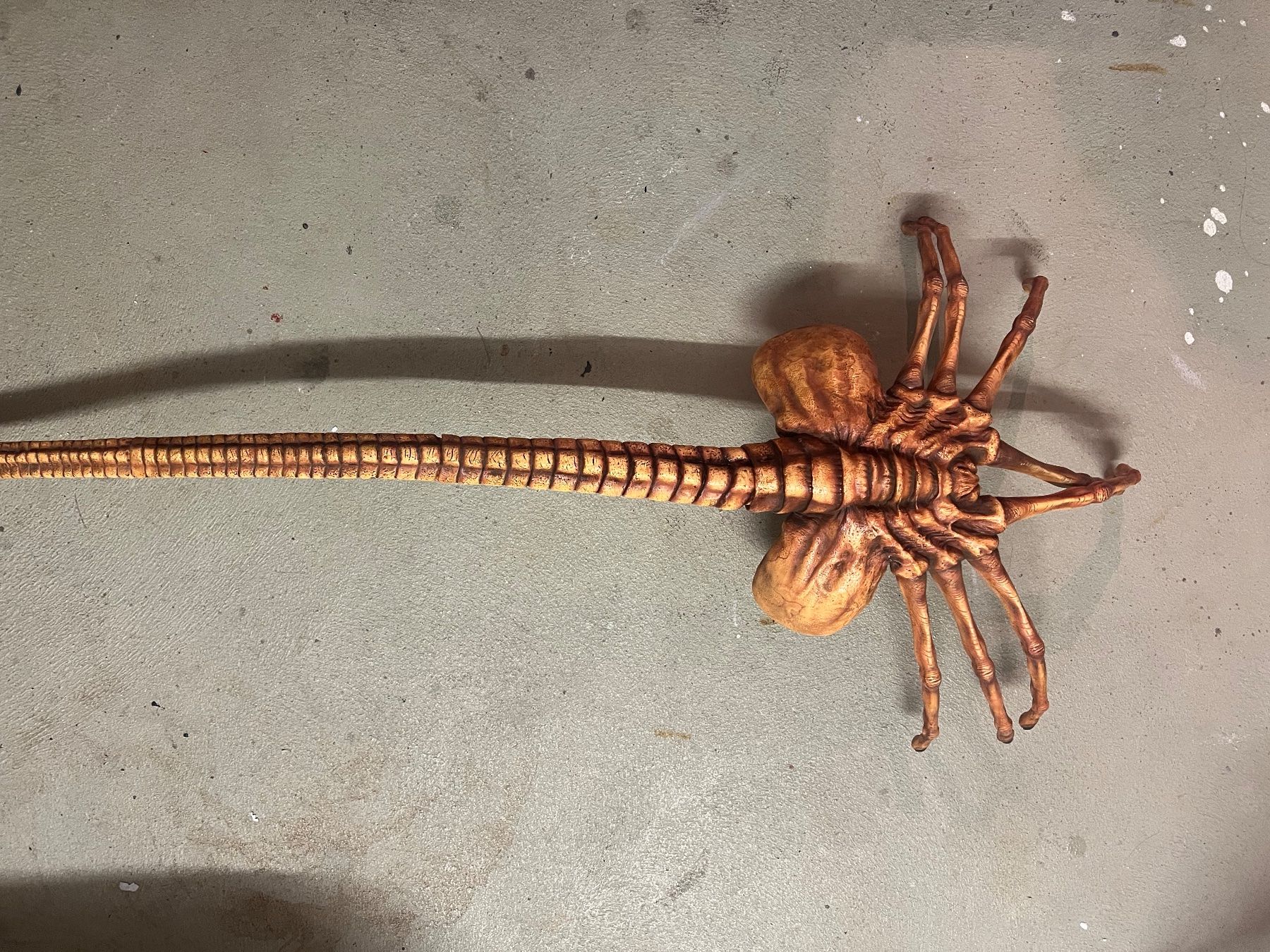 Figurines: 1:1 Facehugger Alien, HR Giger, Aliens, Predator Horror – Neuf (Voir description) à Glattfelden par Ak_5bL 4