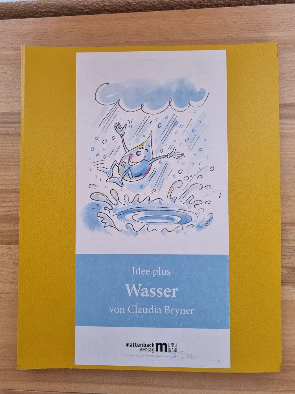 Raccoglitori: Idee plus Wasser von Claudia Bryner – Usato da Weite venduto da Nur63