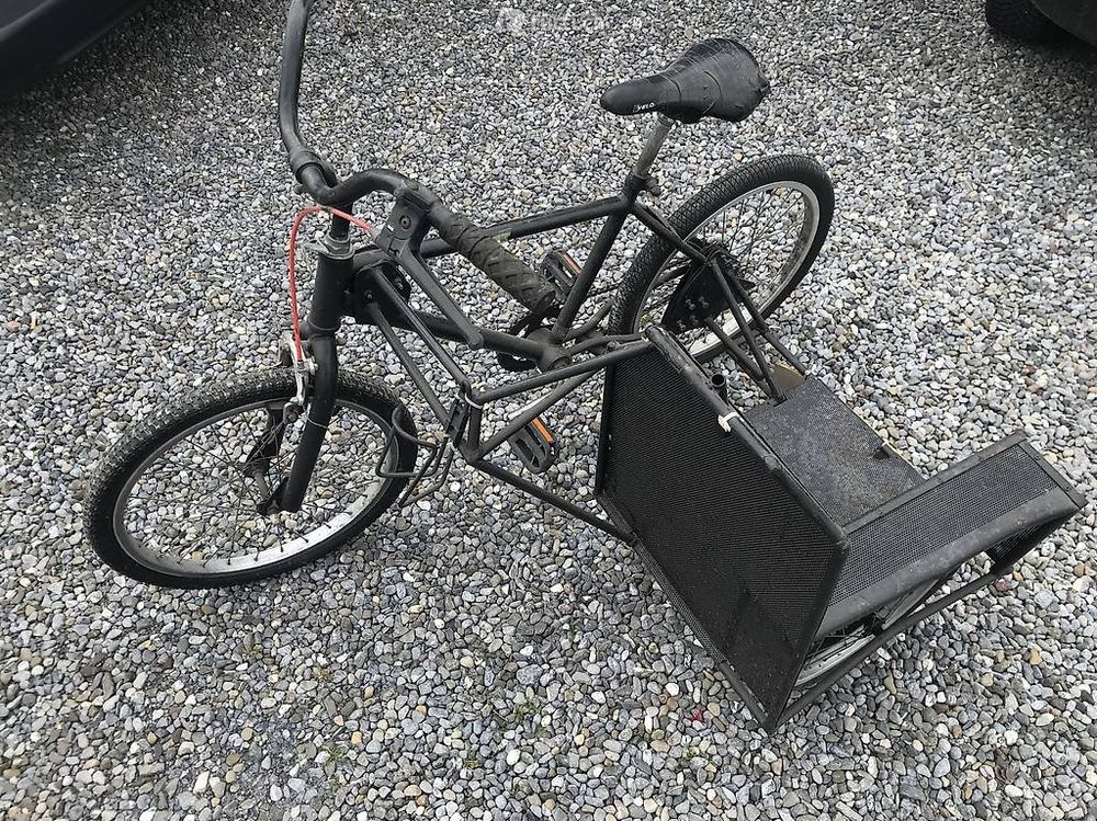 Fahrrad mit Seitenwagen Kaufen auf Ricardo