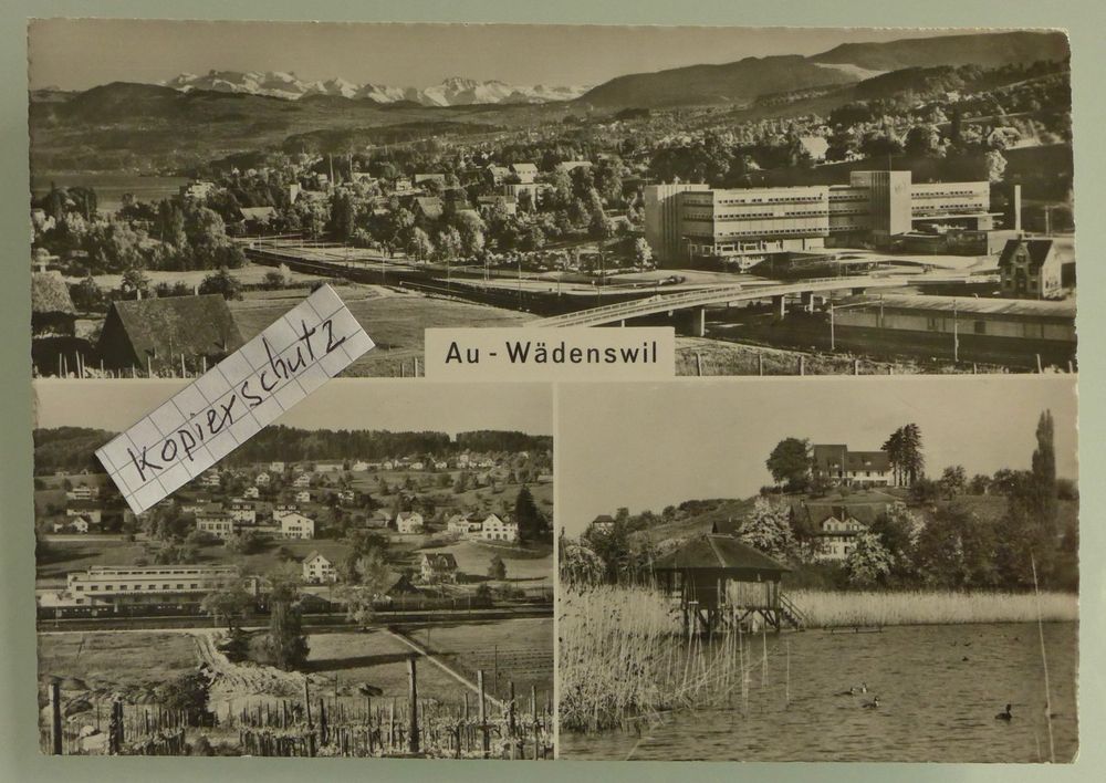 AK AU - WÄDENSWIL, Dorfansichten, Mehrbild (Gebraucht) in Wallisellen ...