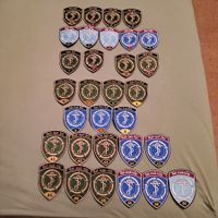 Badge Sanität