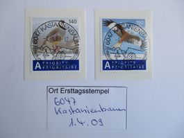 Voll Ort Ersttagsstempel 6047 Kastanienbaum