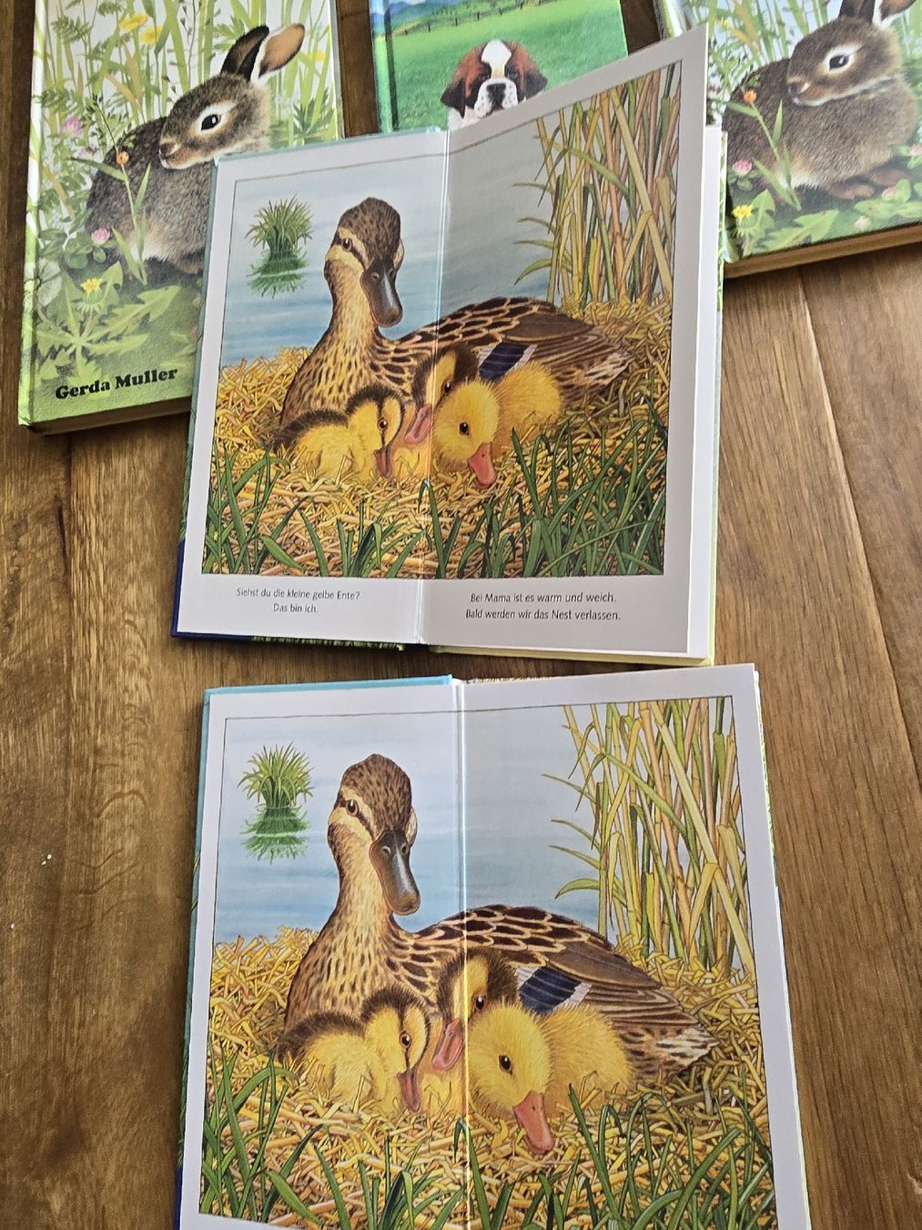 Bücher: 5er Set Kinderbücher "Ich bin..." Ravensburger set – Gebraucht aus Wittenbach von Tigerlili 1