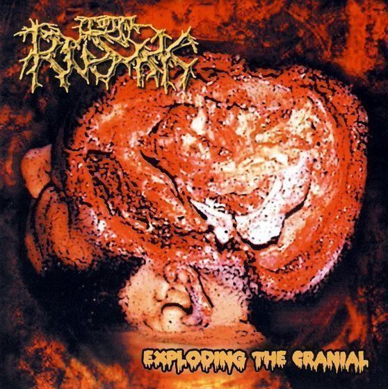 CDs: Total rusak - Exploding... – D'occasion à St-Cergue par VeganWarrior