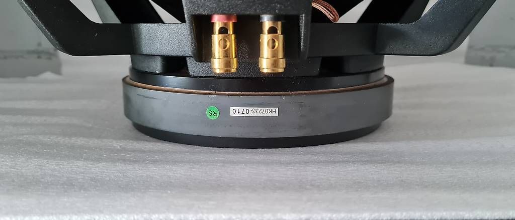 Casse acustiche: 18Zoll Lautsprecher Chassis – Usato da Riehen venduto da ribak 3