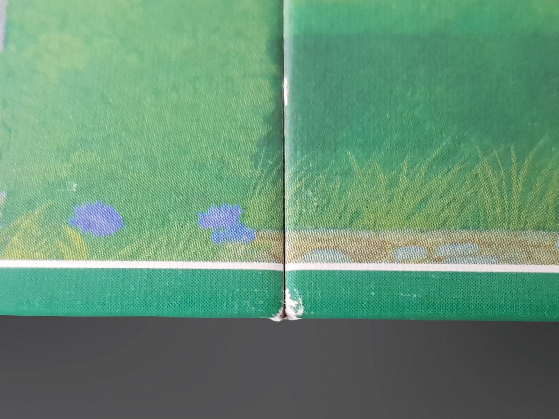 Ravensburger Giochi: RAVENSBURGER Rategarten – Usato da Suhr venduto da Restwert_Suhr 8