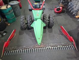 Rapid Swiss