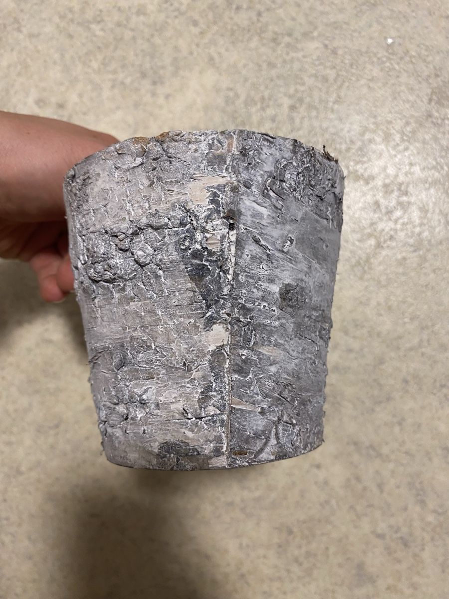 Vase & Récipients: Vase / Topf – D'occasion à Luzern par oli_6x2r 1