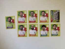 Panini: IRN 2,3,10,11,13,14,15,17,19