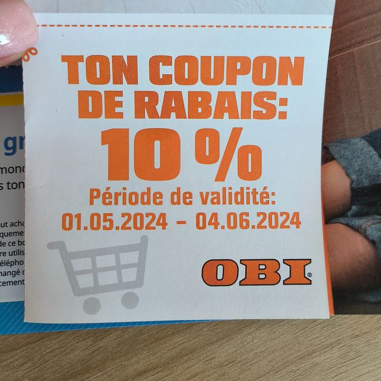 Gutschein 10 OBI Kaufen auf Ricardo
