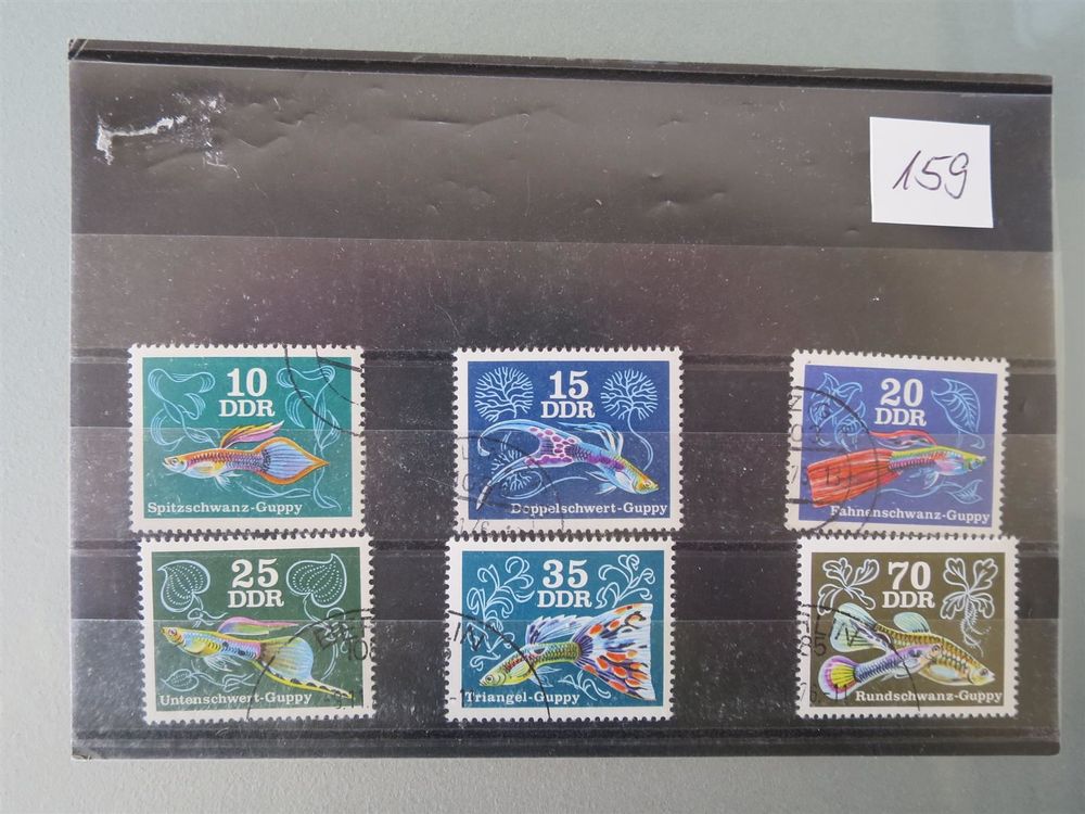 Prophila Collection DDR Briefmarken 2176-2181 Zierfische 1976 Postfrisch MNH – Komplettes Set Sammlerstück