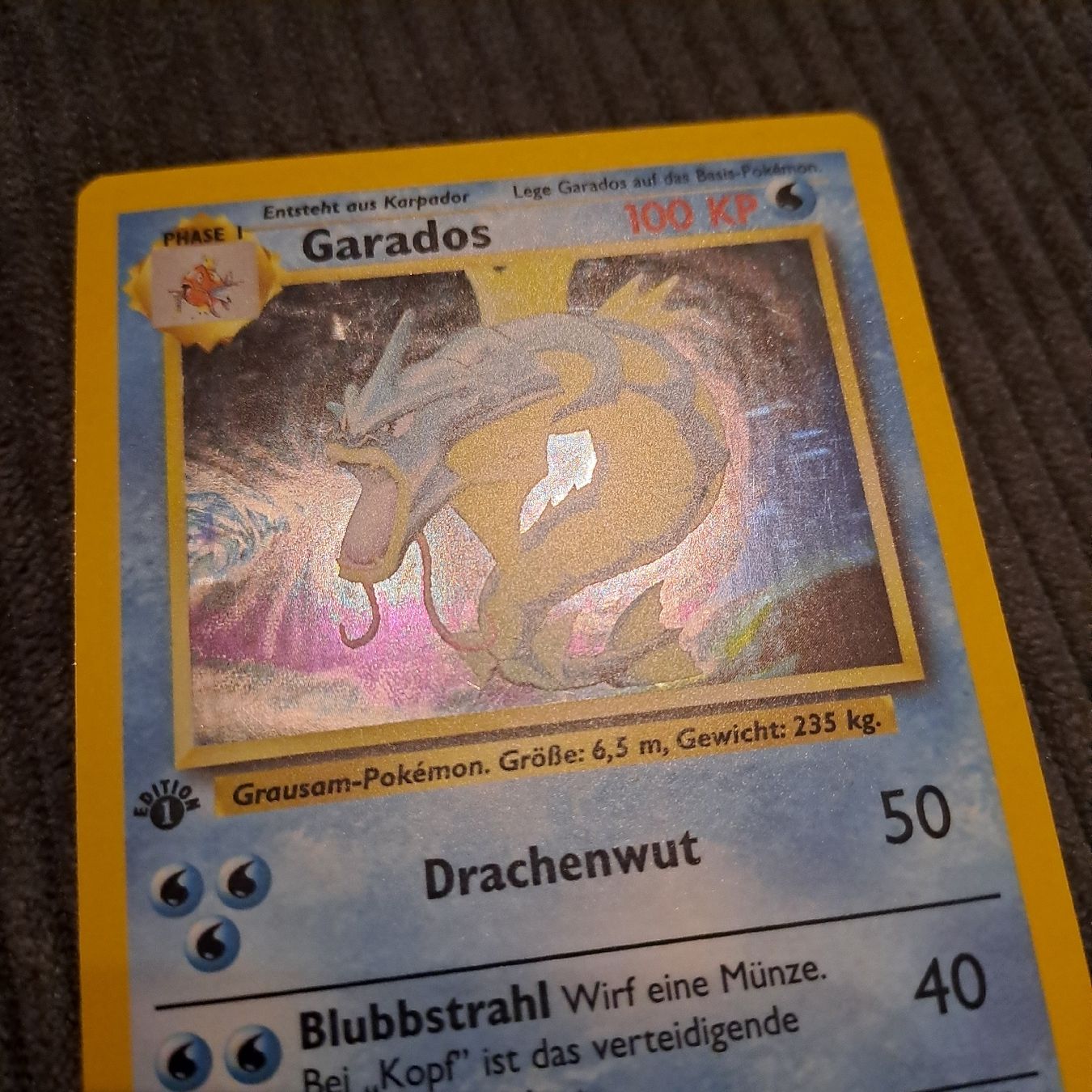 Pokémon Carte collezionabili: Garados Holo, 1. Edition, Base Set 6/102 – Nuovo (secondo la descrizione) da Düdingen venduto da Ruge91 2