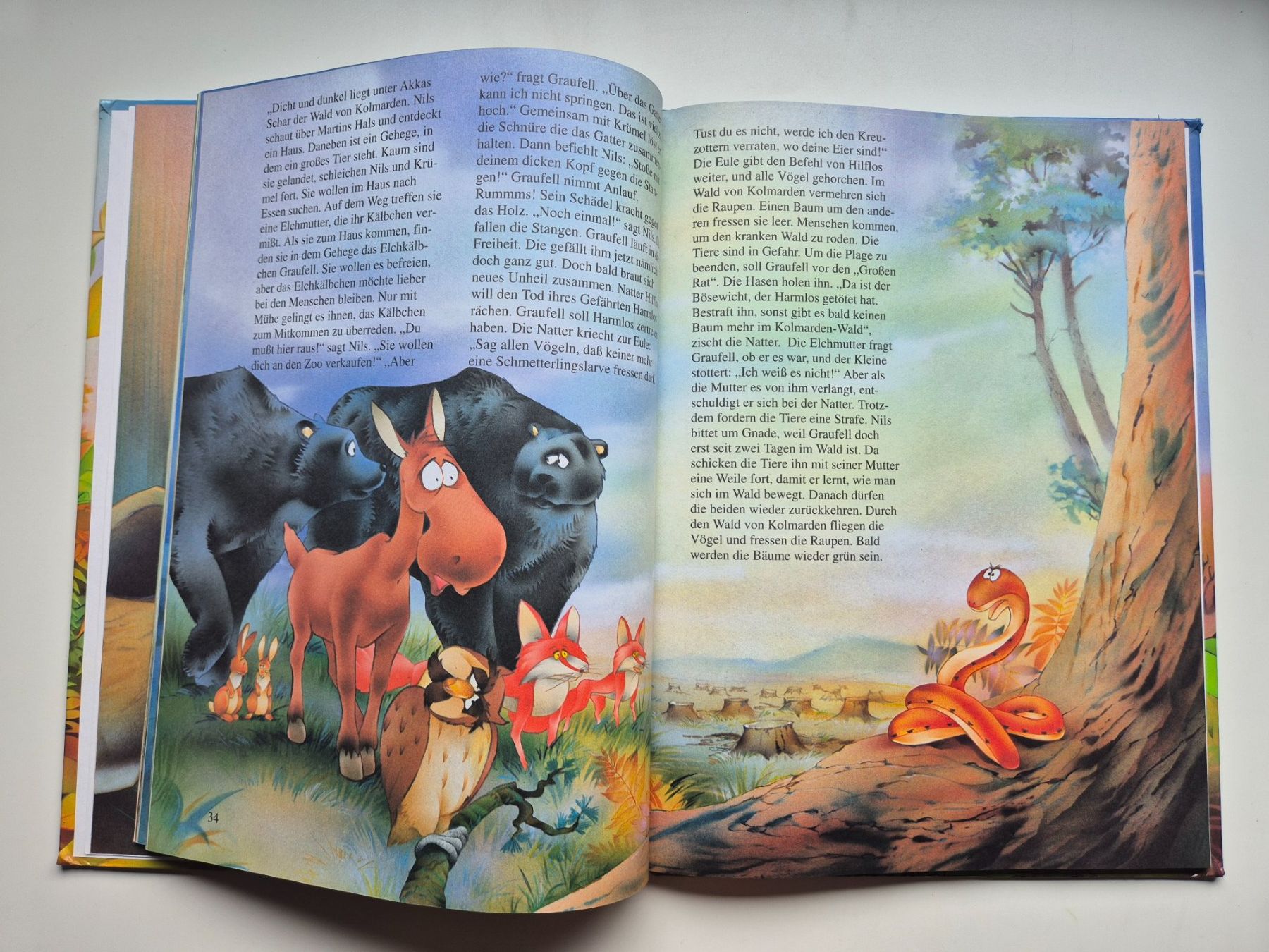 Libri: Nils Holgersson      Bilder - Geschichtenbuch   1994 – Usato da Niederweningen venduto da Obson 3