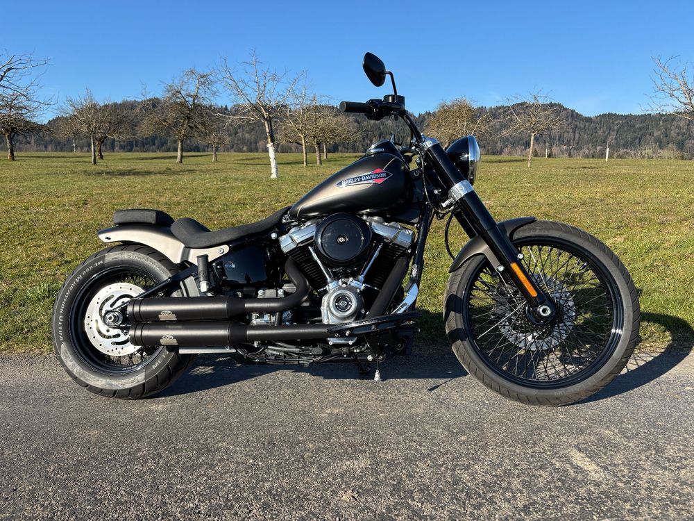 Motorrad-Luftfilter Für Harley Davidson Softail M8 - Mehr Leistung & Schutz