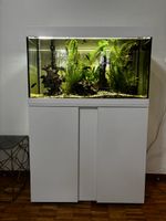 Aquarium inkl. Fisch & und ganzem Zubehör