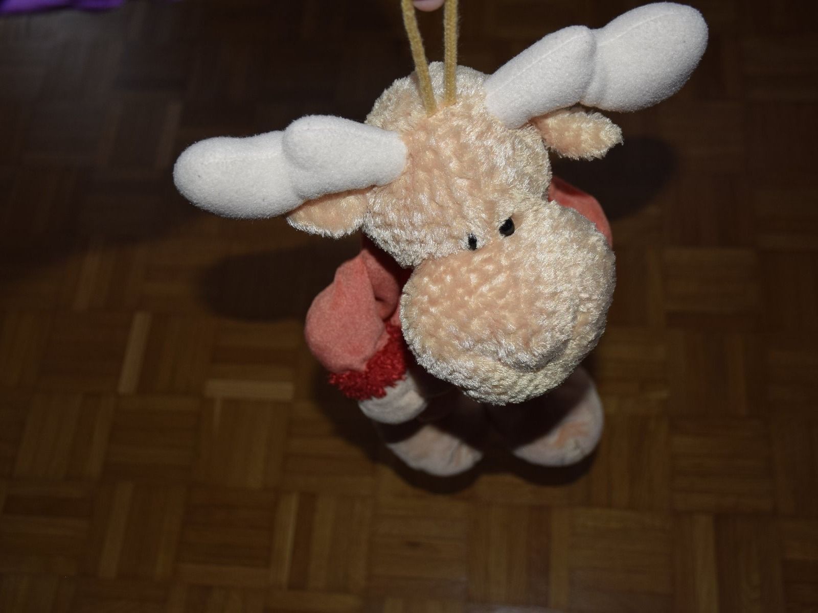 Nici Altri elettrodomestici e apparecchi d’epoca: Nici Bettflasche Hülle oder für das Pyjama oder so:-) – Usato da Wetzikon ZH venduto da Wetzicardo25 5
