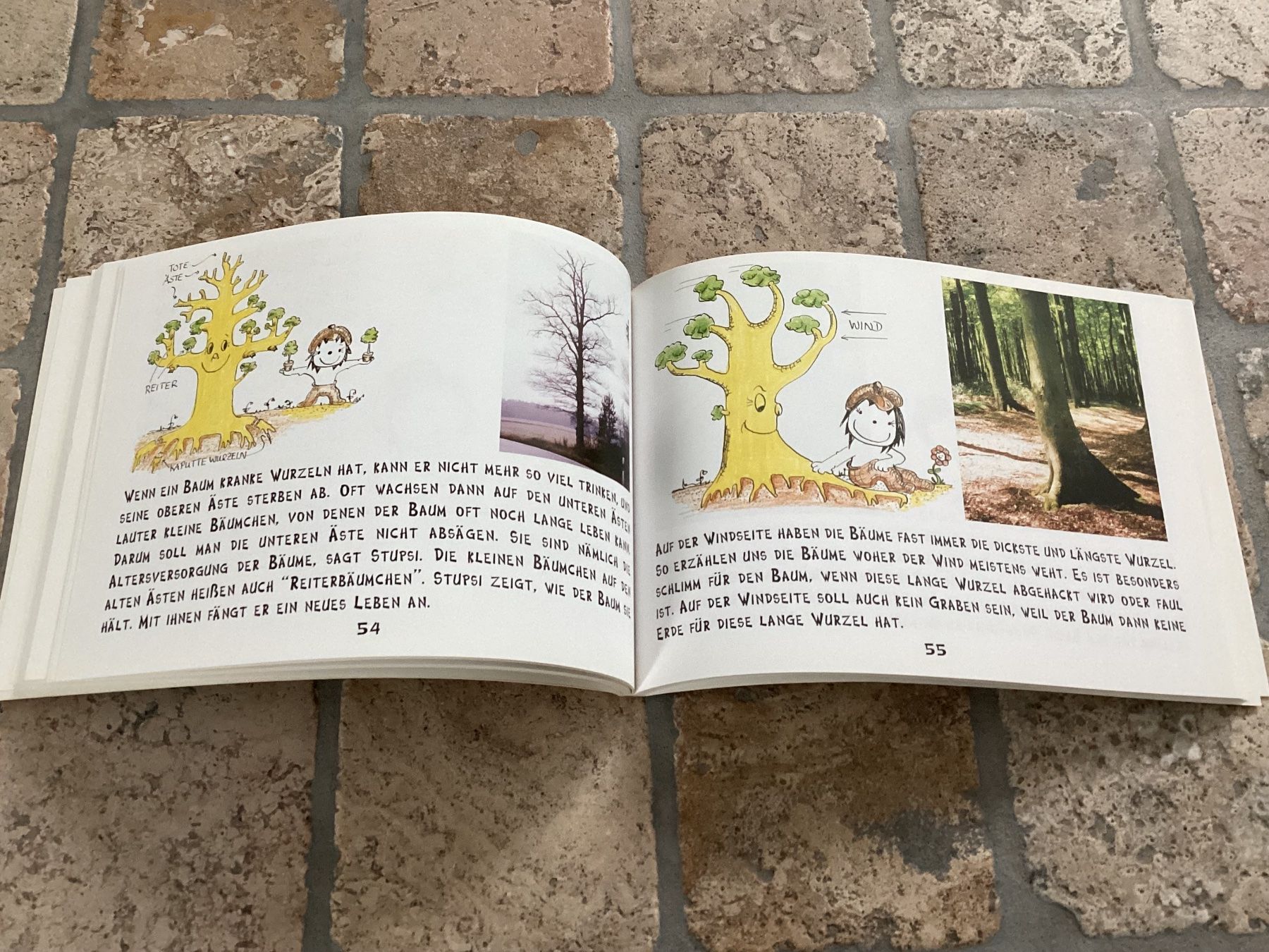 Libri: 2 Bücher von C. Mattheck, Kinderbuch und Technik – Usato da Mörschwil venduto da Monzar 3