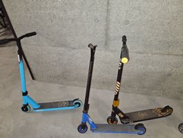 8 Trottis