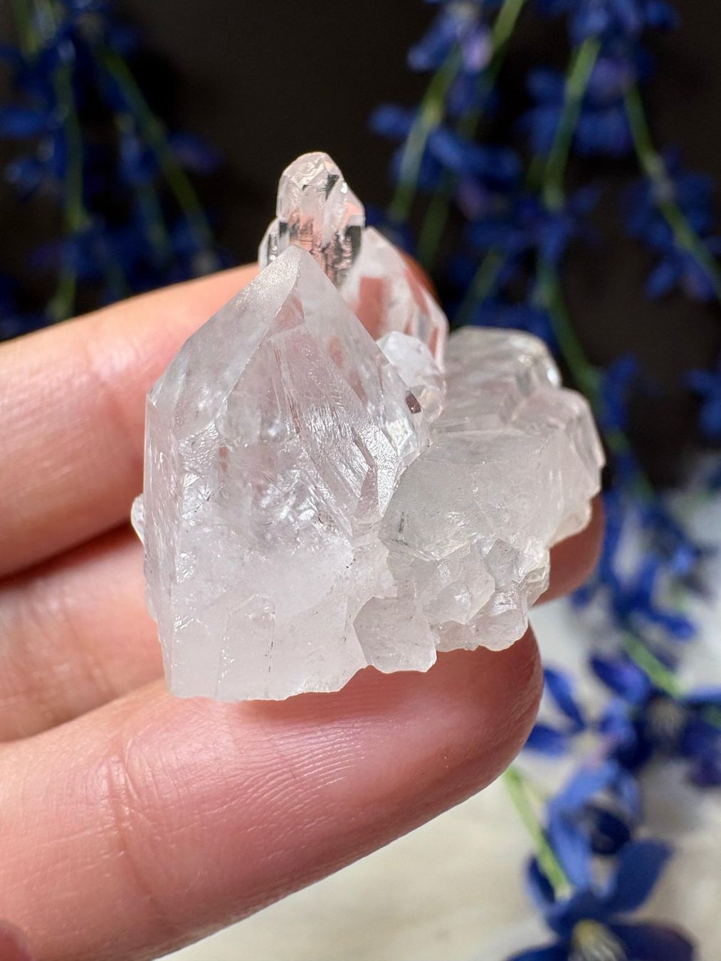 Minerali & Pietre curative: Lemurian-Quarz-Cluster – Nuovo (secondo la descrizione) da Neuheim venduto da m.hald 6
