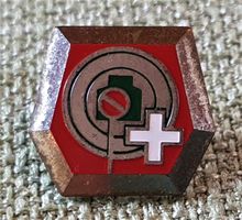 C549 - Pin Schützen Zielscheibe Silbrig