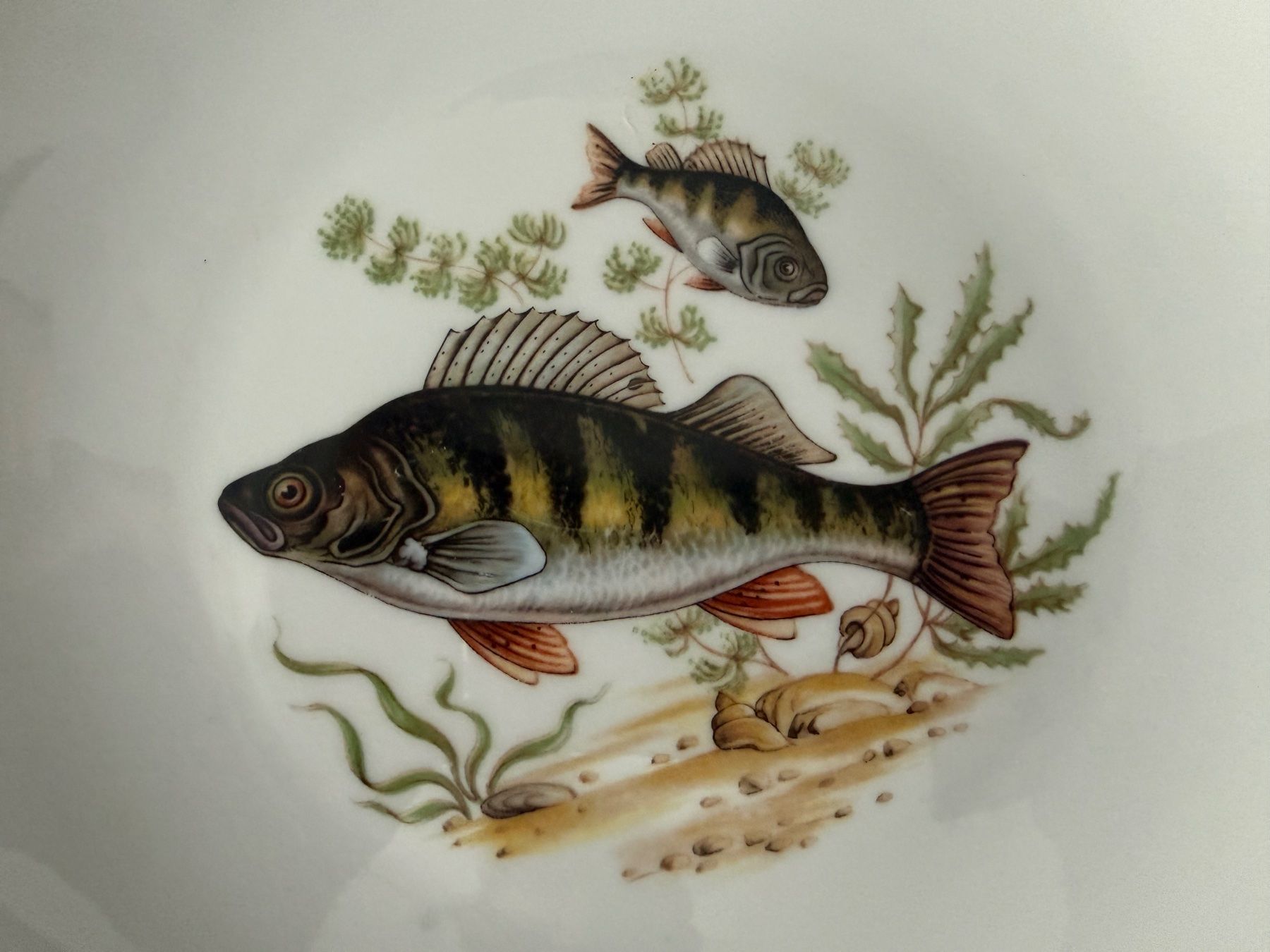 Winterling Geschirrsets: Servizio piatti pesce, 7 pezzi – Gebraucht aus Monte Carasso von Ely67 1