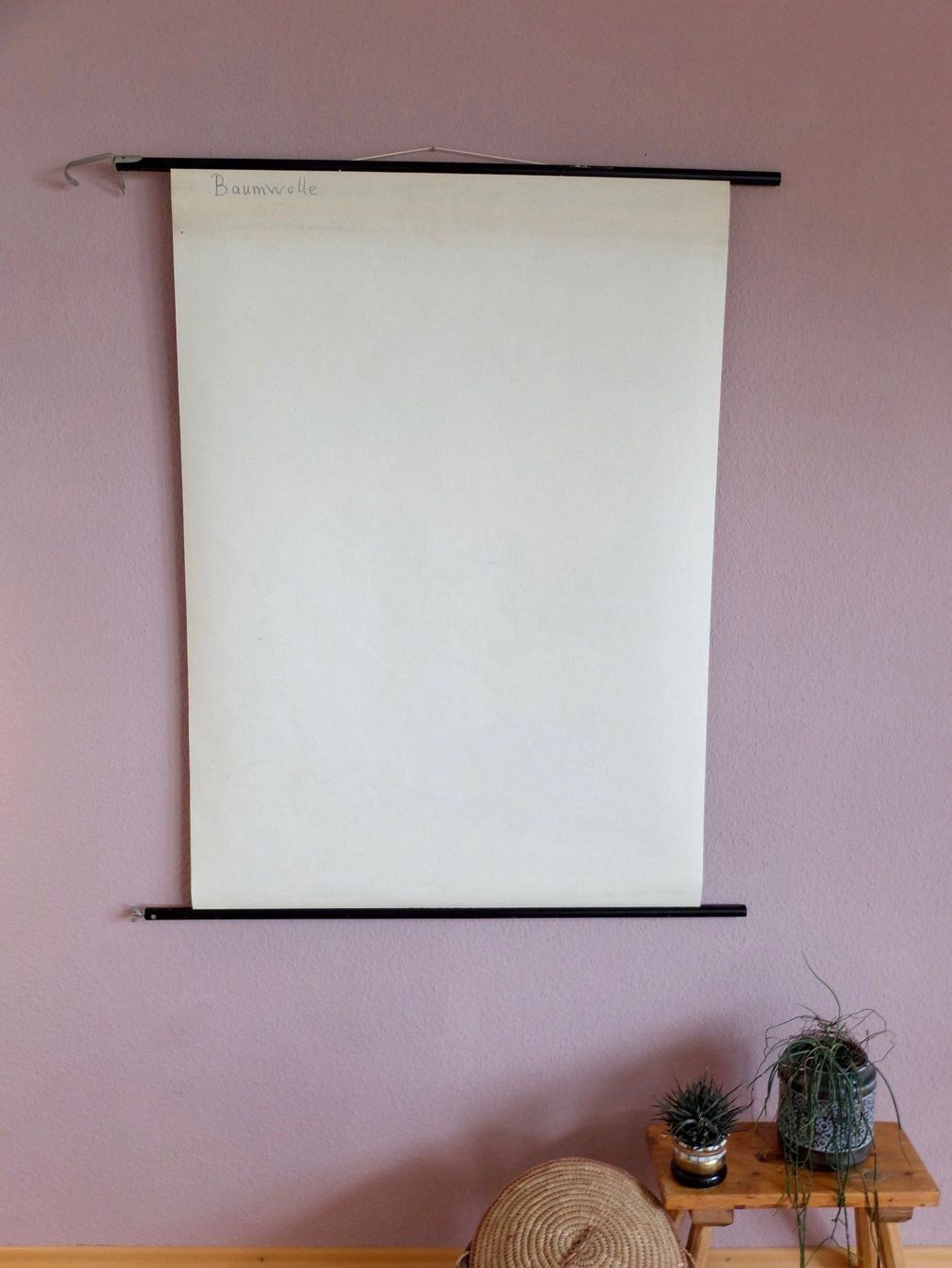 Poster & Bilder: SCHULWANDBILD - BAUMWOLLE – Gebraucht aus Goldach von Gaip 7