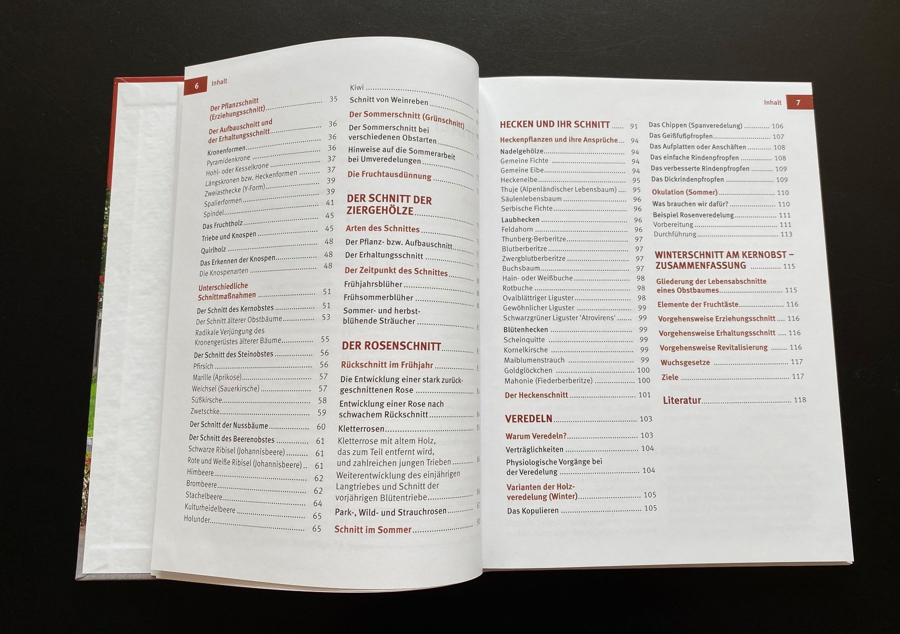 Libri: Hecken- Strauch- und Obstbaumschnitt – Usato da Nussbaumen AG venduto da schuba2000 3