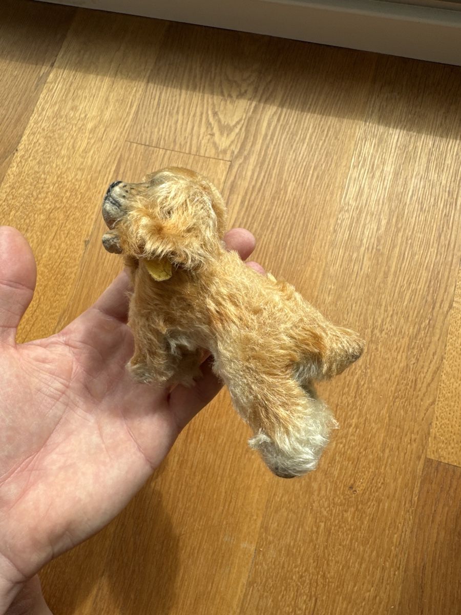 Steiff Spielzeuge: Steiff Cockie mit Knopf im Ohr – Gebraucht aus Zürich von Sigeli03 3