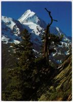 Fafleralp - Bietschhorn