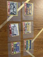 Panini WM 2026 Musem Sticker