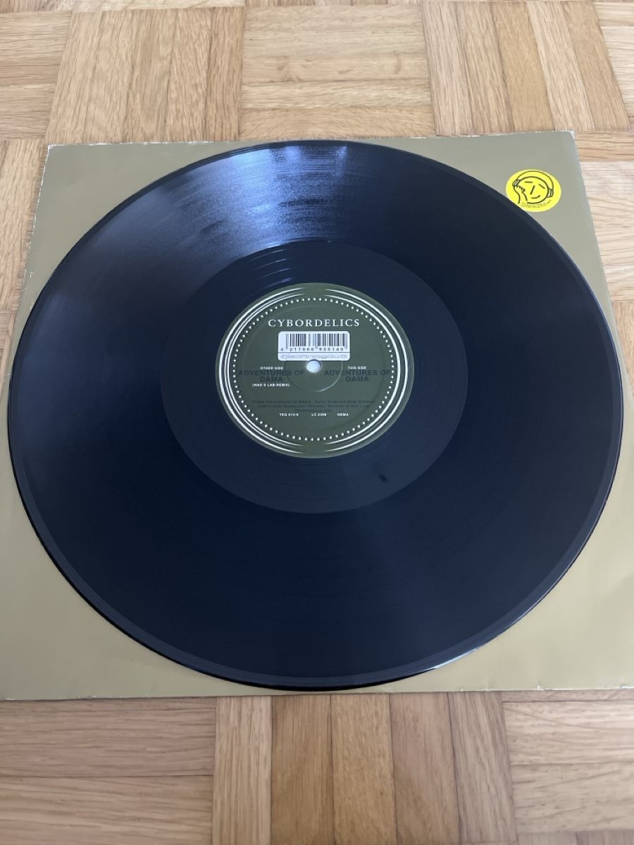Dischi in vinile: Cybordelics Trance / Hard Trance Vinyl – Usato da Wangen b. Olten venduto da break72 2