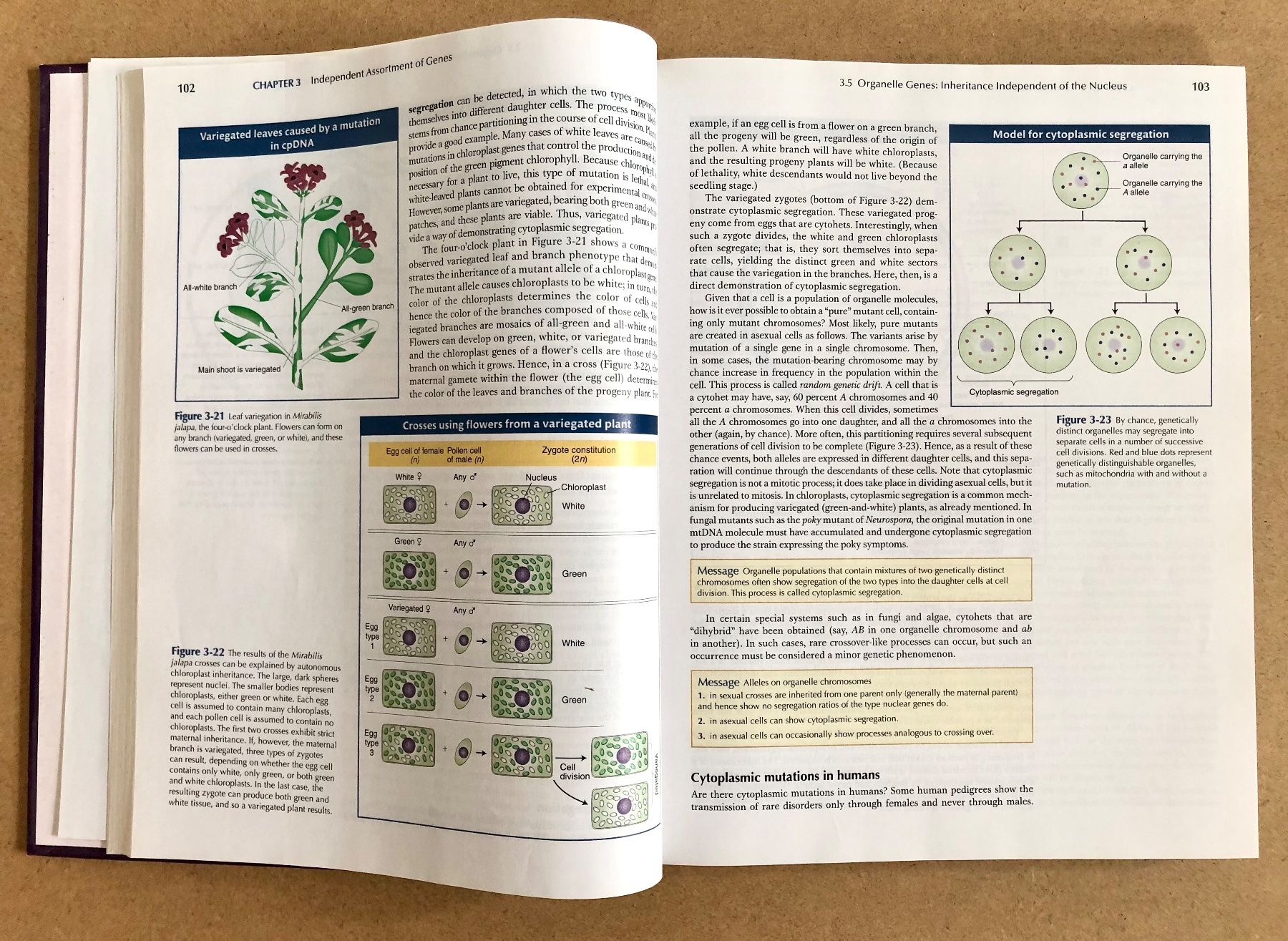 Bücher: Introduction to Genetic Analysis | Biologie | Studium | Book – Gebraucht aus Küblis von AlpinePro_GR 3