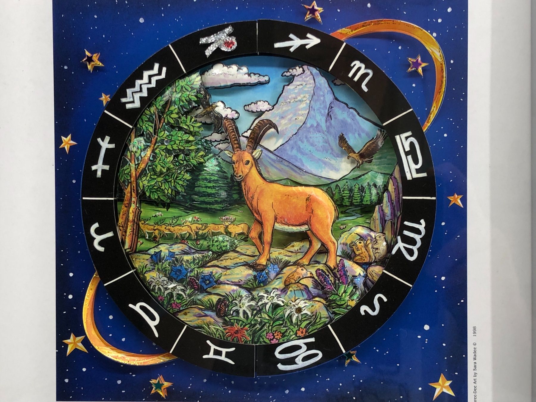 Dipinti: 3D Bild / Sternzeichen Steinbock / 40x40cm - Silber – Nuovo e nell'imballaggio originale da Bergdietikon venduto da Garak