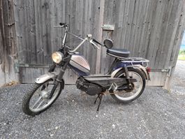 Sachs Pony 503