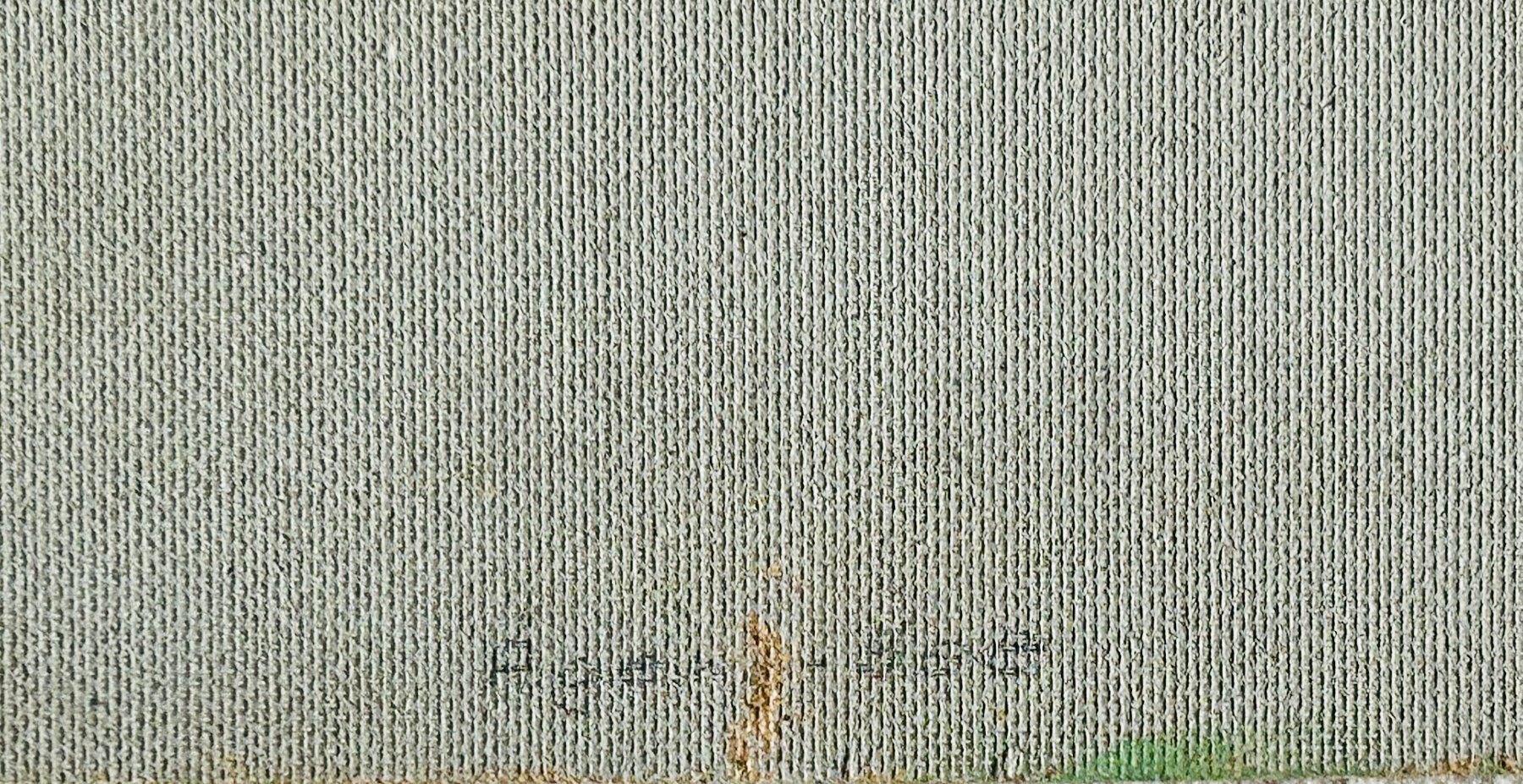 Dipinti: Erwin Jungi Berglandschaft (2018) – Usato da Turgi venduto da dewi2003 2